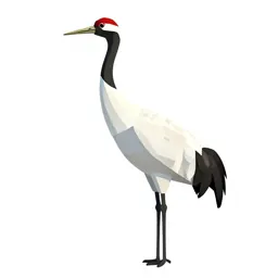 Whooping crane
