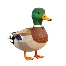 Wild duck