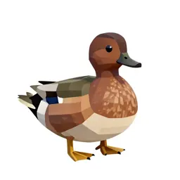 Wood drake