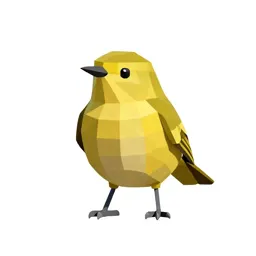 Wood warbler