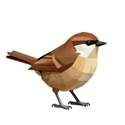 Wren-tit