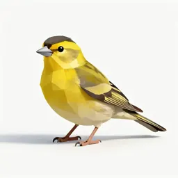 Yellow-breasted bunting