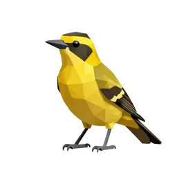 Yellow-shafted flicker
