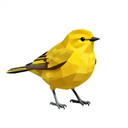 Yellow warbler