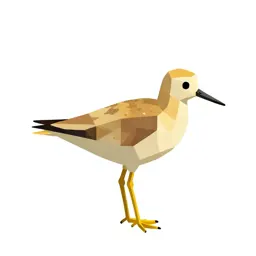 Yellowlegs