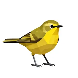 Yellowthroat