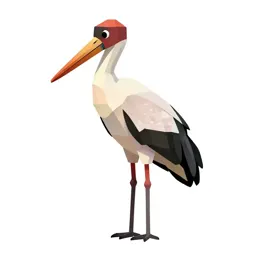 Adjutant bird