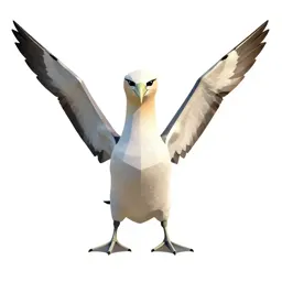 Albatross