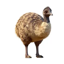Anomalopteryx