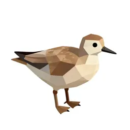 Aquatic bird