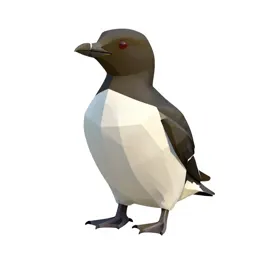 Auklet