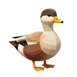 Eider