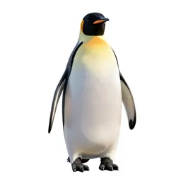 Emperor penguin