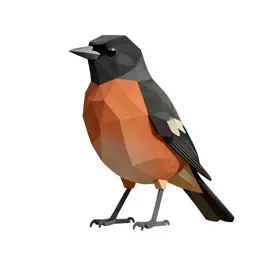 Orchard oriole
