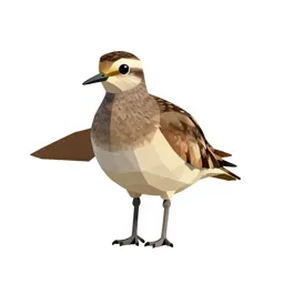 Upland sandpiper