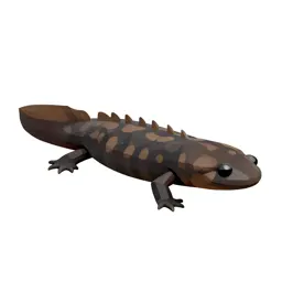 Mole salamander