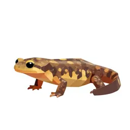 Newt