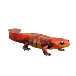 Red eft