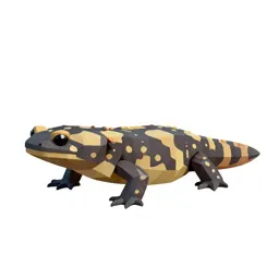 Salamander