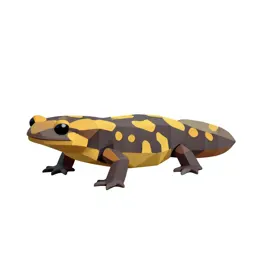 Alpine salamander