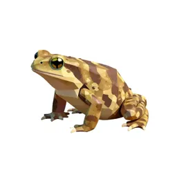 Amphibian