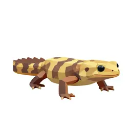Urodele
