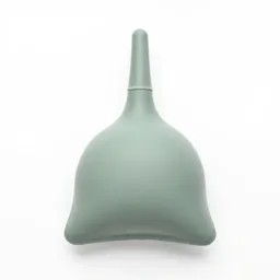 Bladder