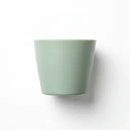 Bone-ash cup
