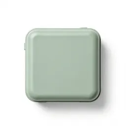 Case