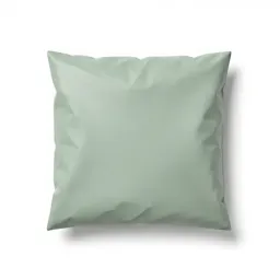Diplomatic pouch