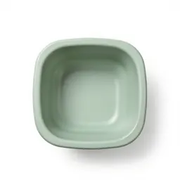 Emesis basin