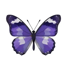 Banded purple