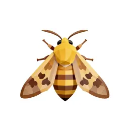 Bee moth