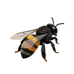 Black bee