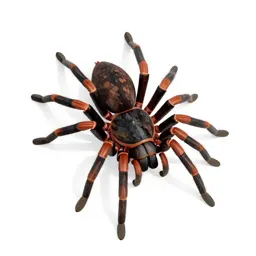 Black widow