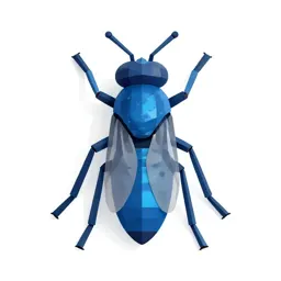 Bluebottle
