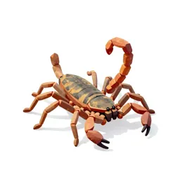Book scorpion