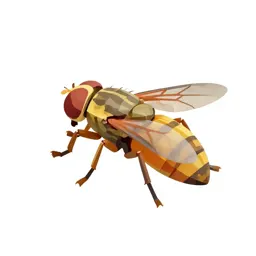 Botfly
