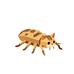 Cat flea