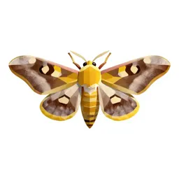Cecropia
