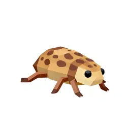 Chigoe