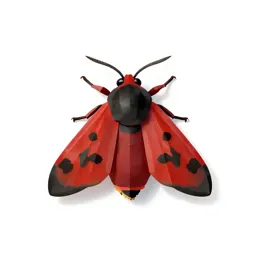 Cinnabar