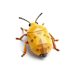 Citrophilous mealybug