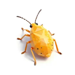 Citrus mealybug