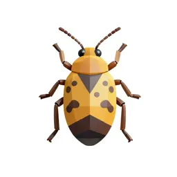 Coccid insect
