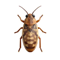 Common louse
