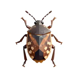 Cotton stainer