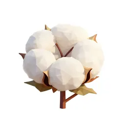 Cotton strain