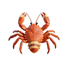 Crab louse
