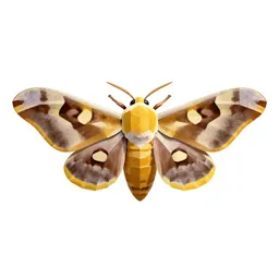 Cynthia moth